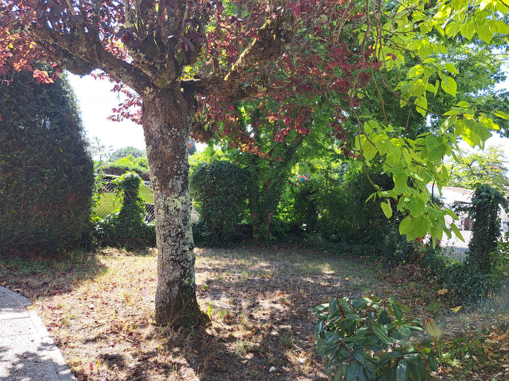 � vendre  Maison Andernos-les-Bains (33510)