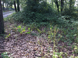  Terrain � vendre 1418 m�