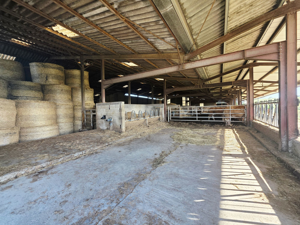 � vendre  Maison Yssandon (19310)