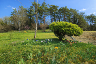  Maison � vendre 3 pi�ces 81 m�