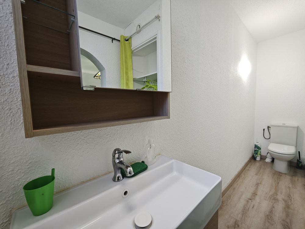 � vendre  Propri�t�/ch�teau Ortaffa (66560)