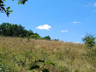  Maison � vendre 5 pi�ces 172 m�