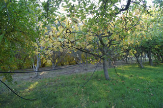  Terrain � vendre 5359 m�