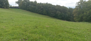  Terrain � vendre 5260 m�