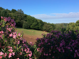  Maison � vendre 8 pi�ces 163 m�