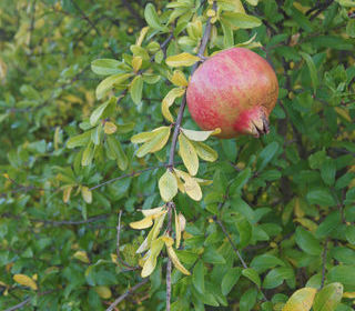  Terrain � vendre 5359 m�