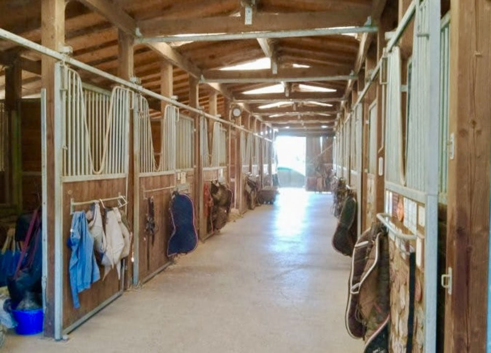 � vendre  Maison Beyssenac (19230)