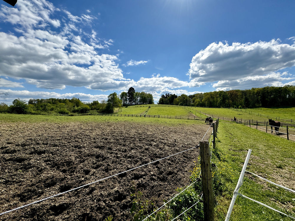 � vendre  Maison Beyssenac (19230)