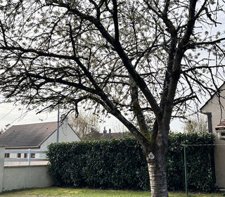  Maison � vendre 5 pi�ces 120 m�