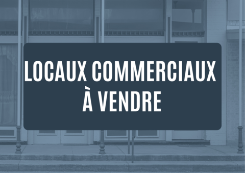 Ensemble immobilier commercial &agrave; vendre &agrave; Sarlat 1190000 24200 Sarlat la caneda