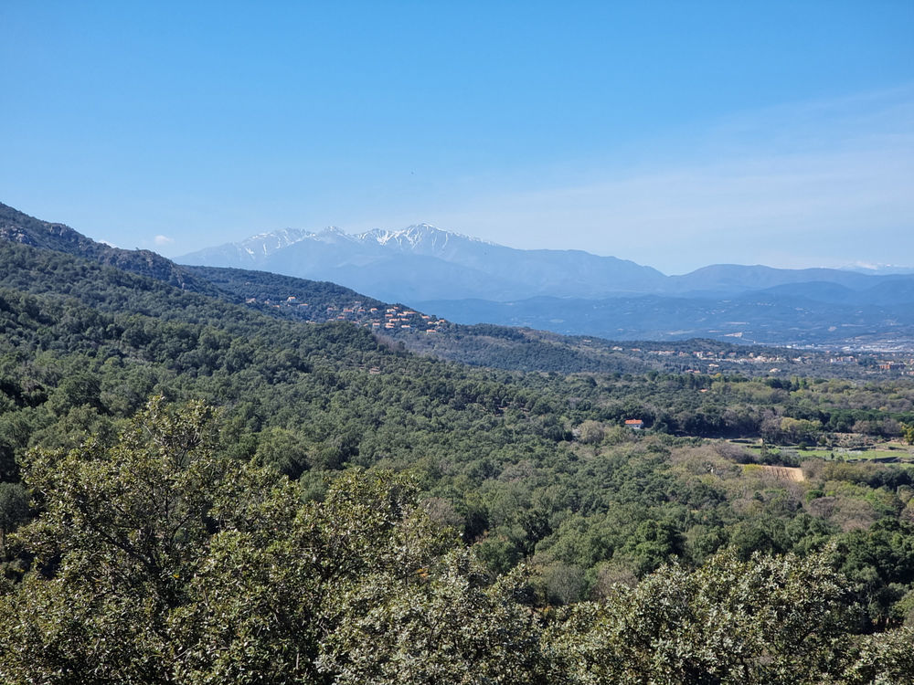 � vendre  Propri�t�/ch�teau Sor�de (66690)