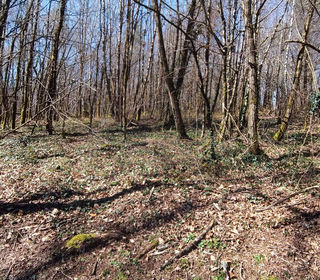  Terrain � vendre 1996 m�