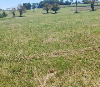  Terrain � vendre 7350 m�