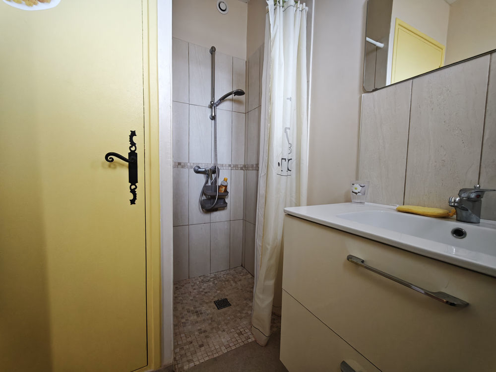 � vendre  Propri�t�/ch�teau Ortaffa (66560)