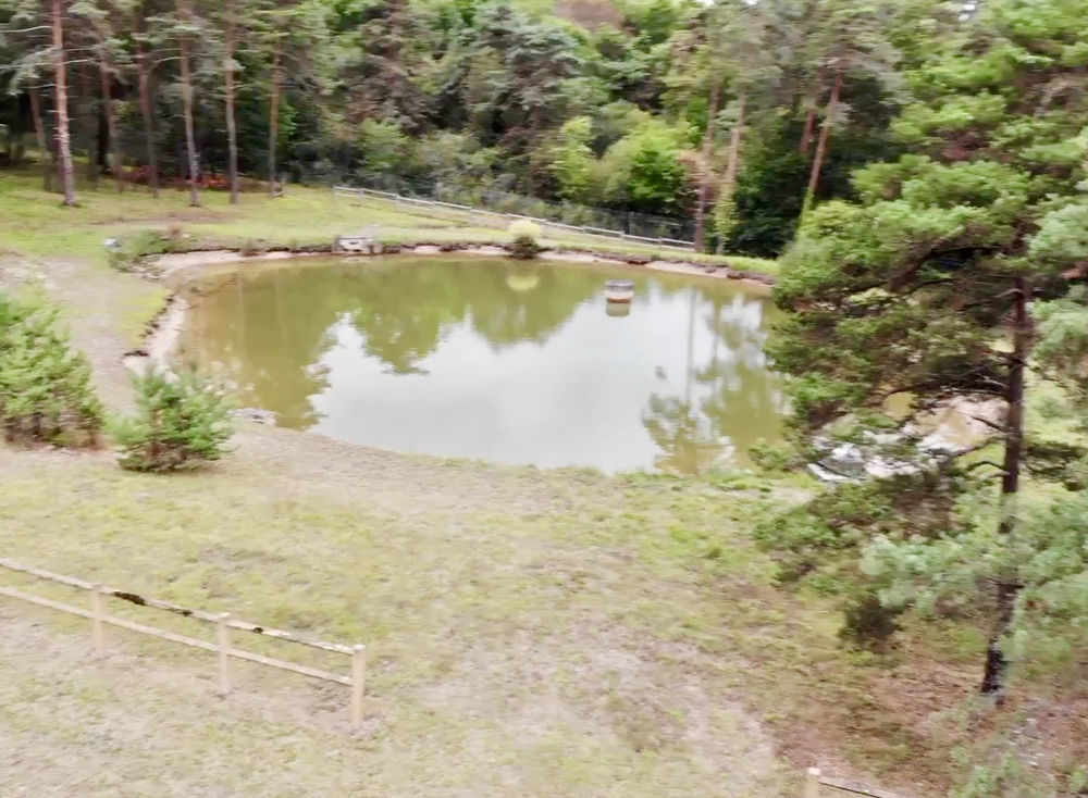 � vendre  Maison Brive-la-Gaillarde (19100)