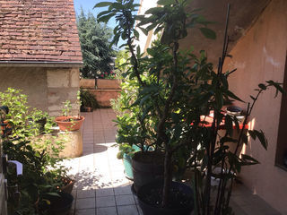  Maison � vendre 15 + pi�ces 397 m�