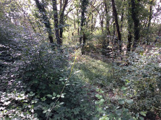  Terrain � vendre 1418 m�