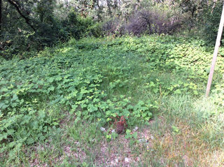  Terrain � vendre 1418 m�