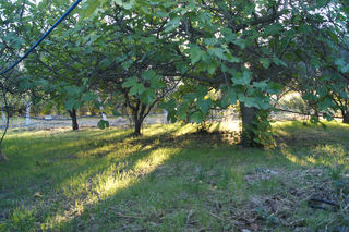  Terrain � vendre 5359 m�