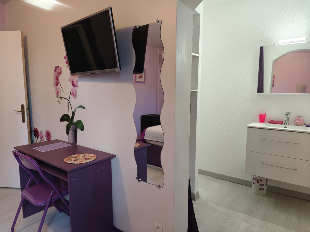 � vendre  Propri�t�/ch�teau Ortaffa (66560)