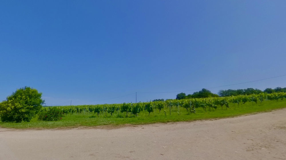 � vendre  Maison Vire-sur-Lot (46700)