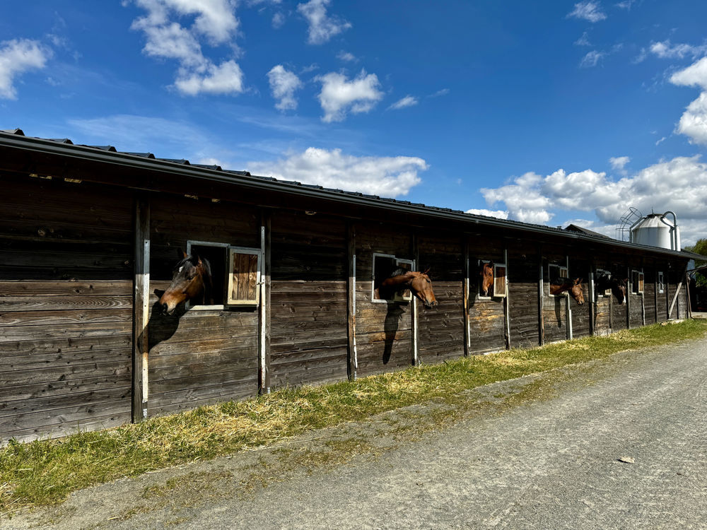 � vendre  Maison Beyssenac (19230)