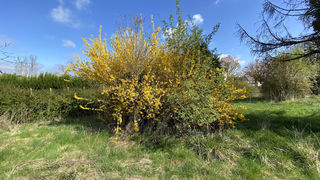  Terrain � vendre 990 m�