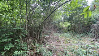  Terrain � vendre 1984 m�