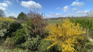  Terrain � vendre 990 m�