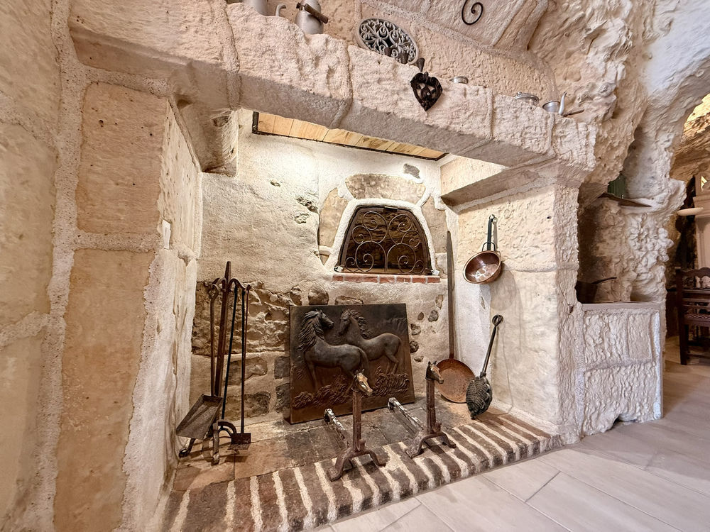 � vendre  Propri�t�/ch�teau Vend�me (41100)