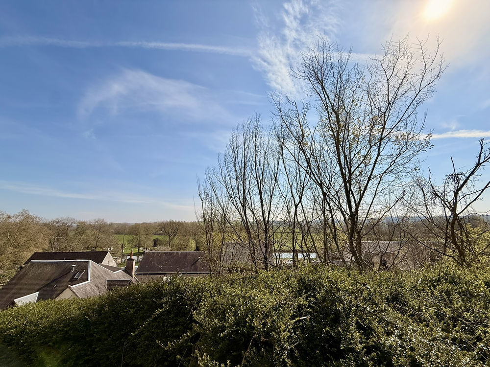 � vendre  Propri�t�/ch�teau Vend�me (41100)