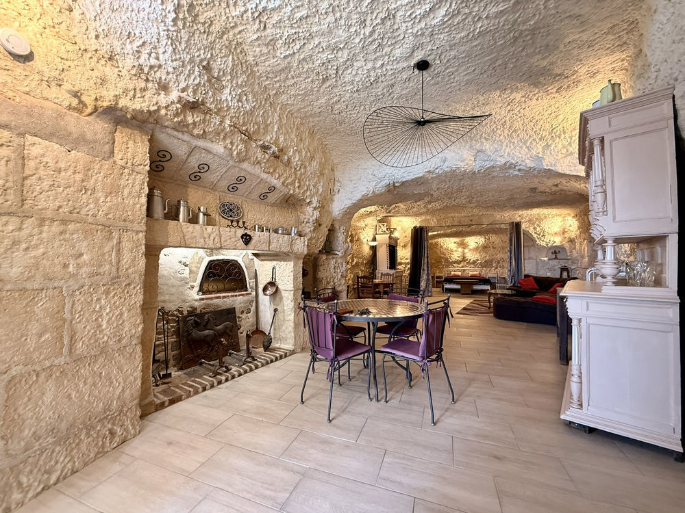 � vendre  Propri�t�/ch�teau Vend�me (41100)