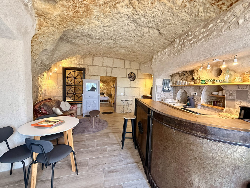 � vendre  Propri�t�/ch�teau Vend�me (41100)