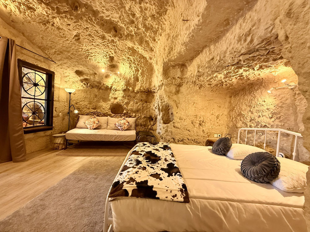 � vendre  Propri�t�/ch�teau Vend�me (41100)