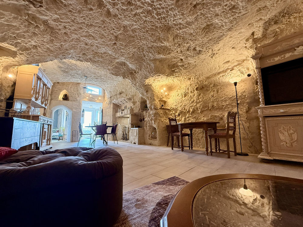 � vendre  Propri�t�/ch�teau Vend�me (41100)