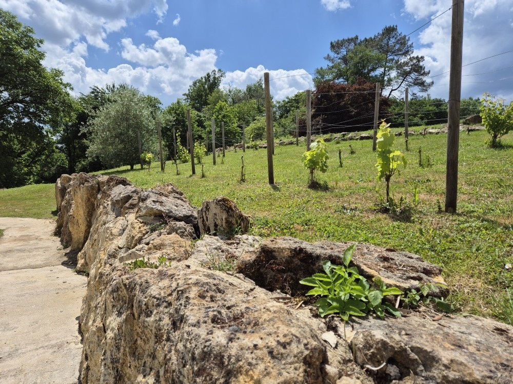 � vendre  Propri�t�/ch�teau Saint-Jean-d'Eyraud (24140)