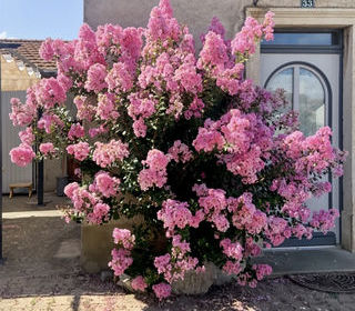  Maison � vendre 6 pi�ces 137 m�