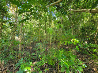  Terrain � vendre 18170 m�