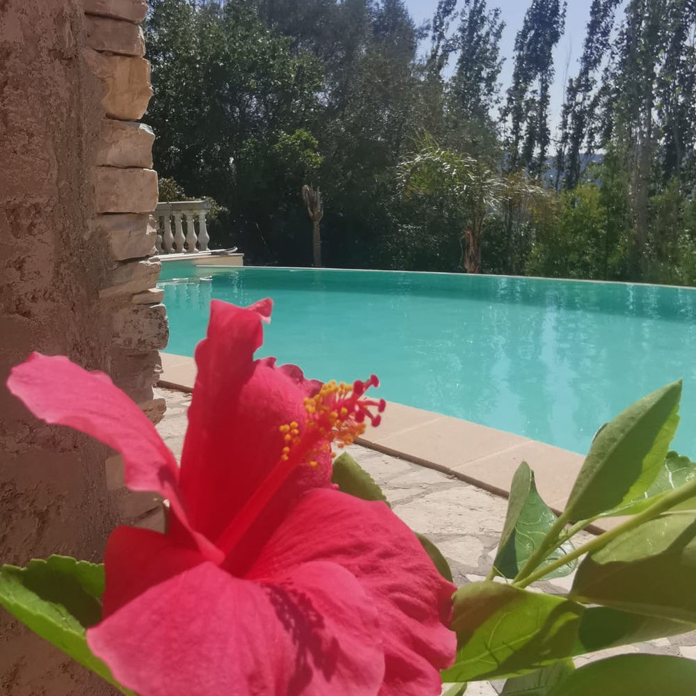 � vendre  Maison Hy�res (83400)