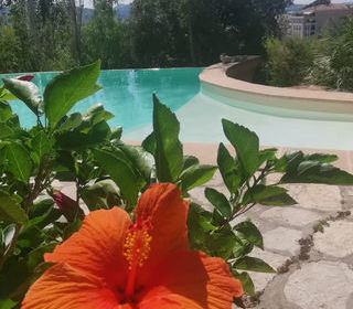  Maison � vendre 13 pi�ces 325 m�