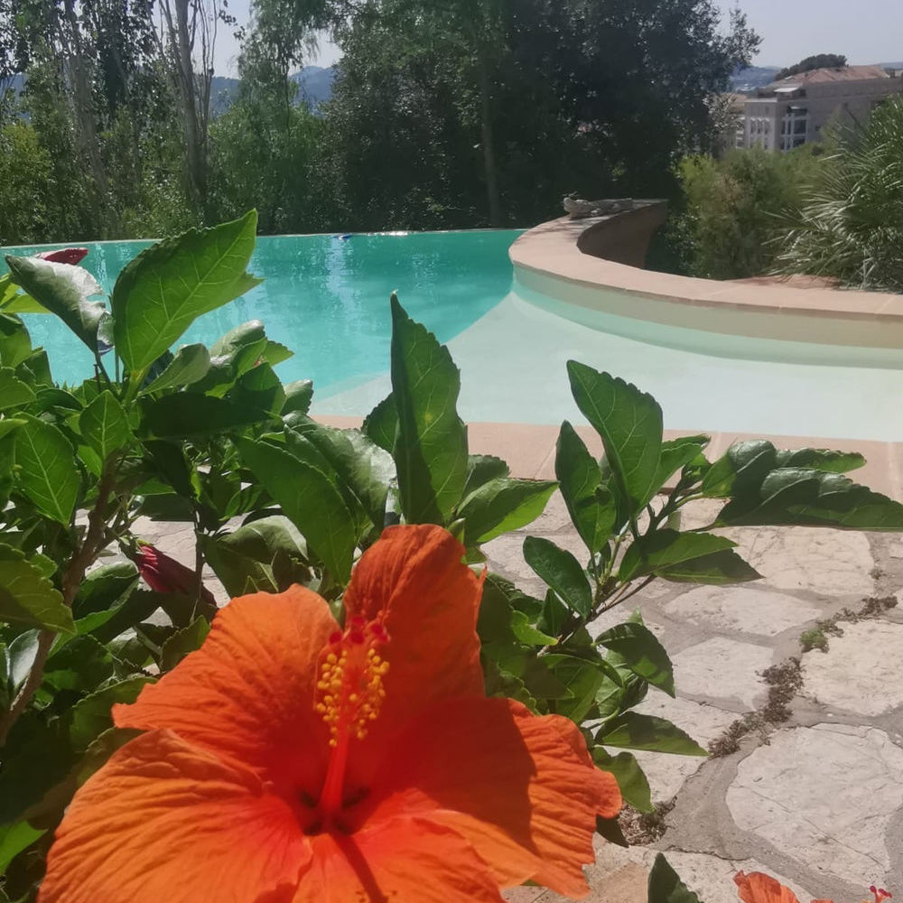 � vendre  Maison Hy�res (83400)