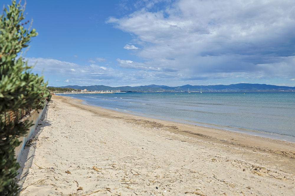 � vendre  Appartement Hy�res (83400)