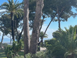  Duplex/triplex � vendre 3 pi�ces 84 m�