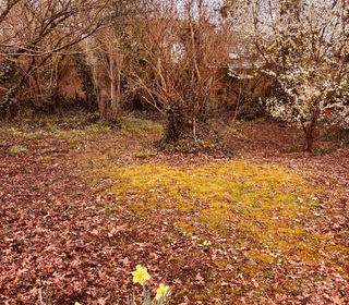  Terrain � vendre 475 m�