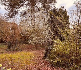  Terrain � vendre 475 m�