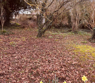  Terrain � vendre 475 m�