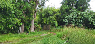  Terrain � vendre 1293 m�