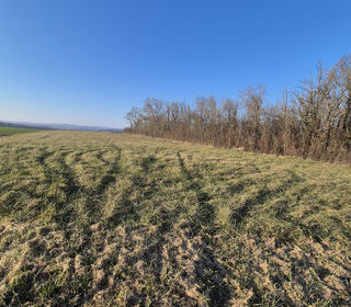  Terrain � vendre 4312 m�