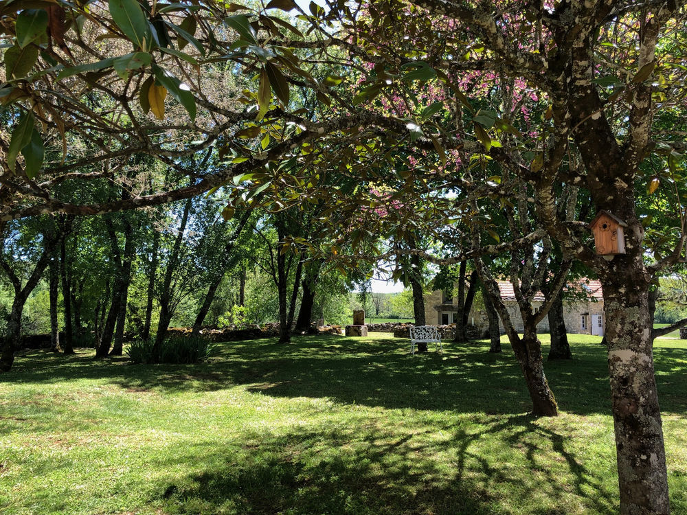 � vendre  Propri�t�/ch�teau Caylus (82160)