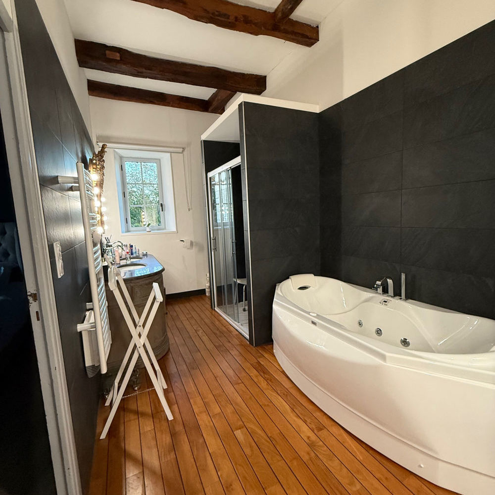 � vendre  Propri�t�/ch�teau Caylus (82160)